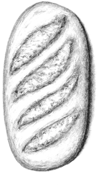 Batard Loaf Illustration